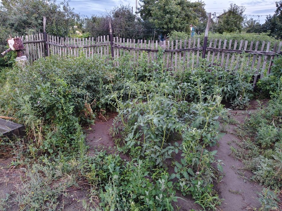 Продам дача летний вариант