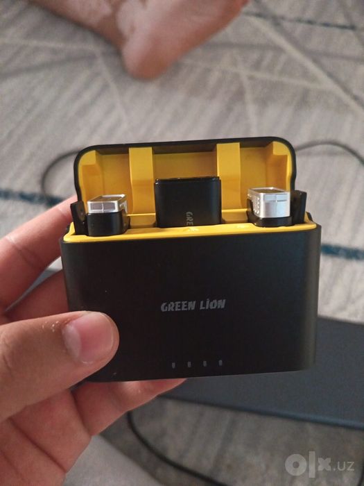 Green Lion simsiz mikrofon — 2 ta mikrofon + receiver