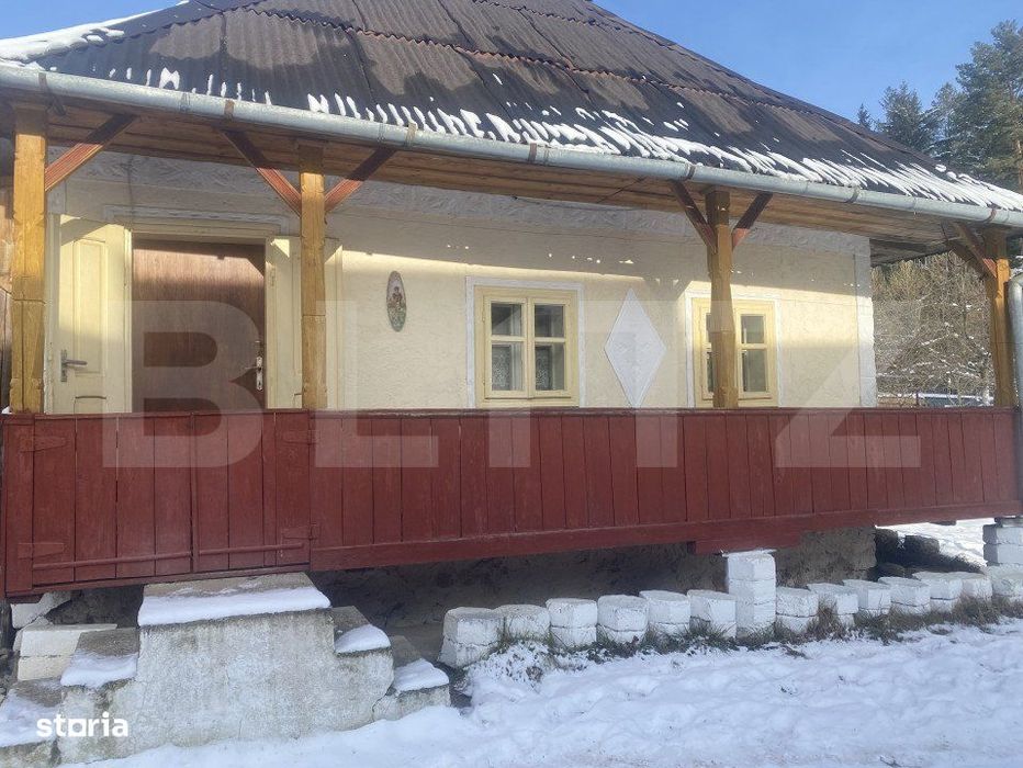 Vanzare 2 case traditionale, 3 camere + teren, 3450 mp, Campulung Mold