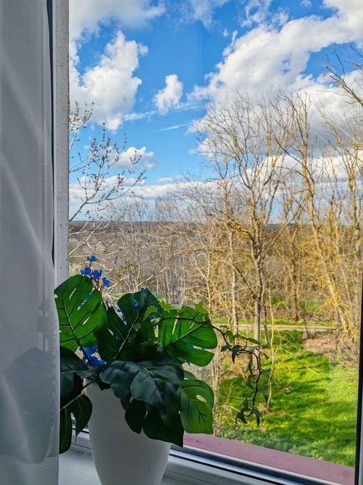 Apartament de vacanta