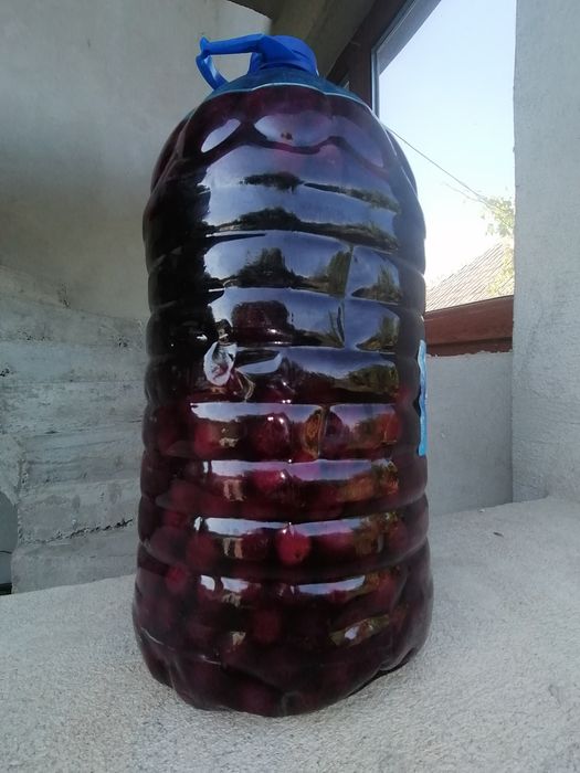 Aperitiv din vișine