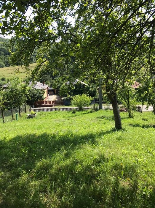 Teren jud. Arges, comuna Babana