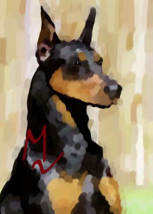 милые портреты домашних животных!)