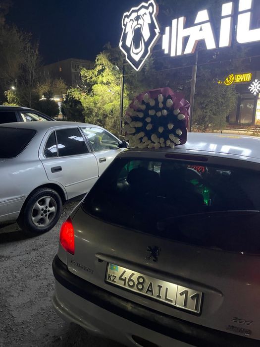 Peugeot 206 [POP-ART]