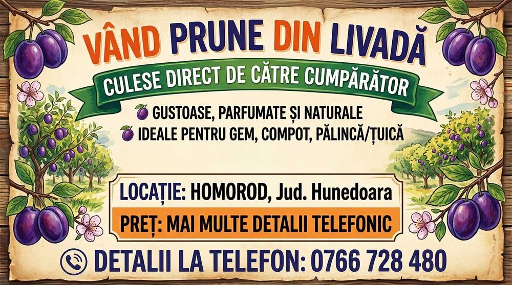 Vând prune (de cules direct din livadă)