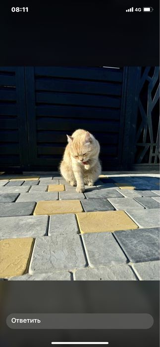 Укладка Брусчатки