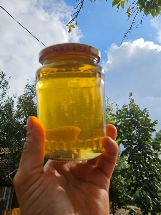 Miere de salcam, poliflora la butoi de 300kg