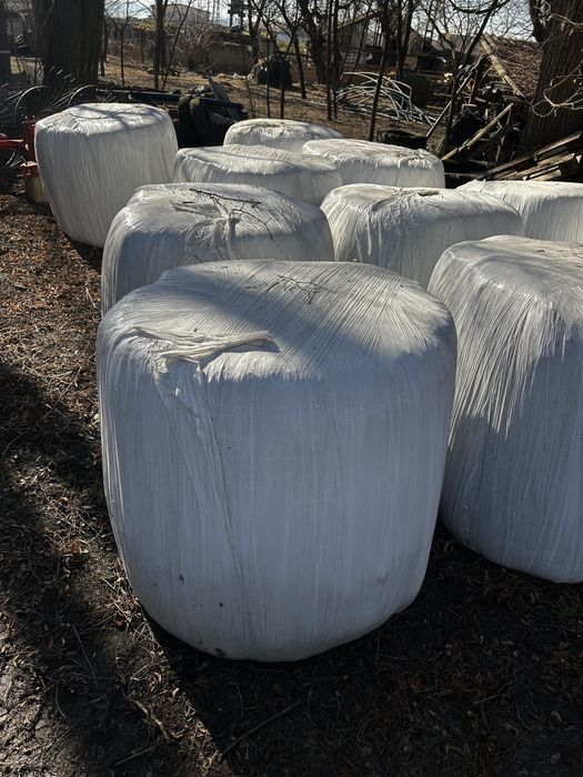 Baloti infoliati de vanzare