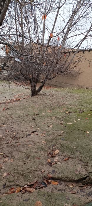 Продаётся участок 3 соток