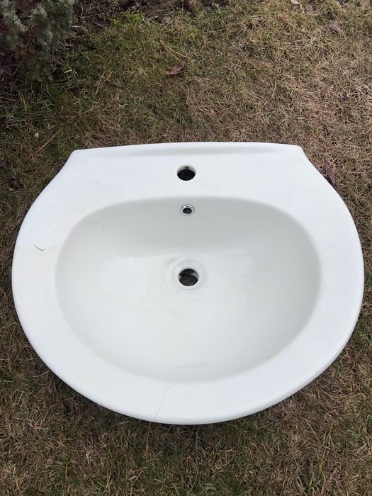 Раковина тюльпан