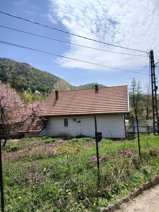 Casă la munte cu pârâu în curte,în localitatea  Nojag.la 18 km.de DEVA