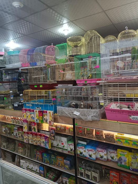 Товары для животных