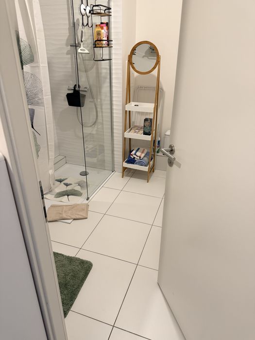 Închiriez apartament mobilat în Strasbourg la doua studente