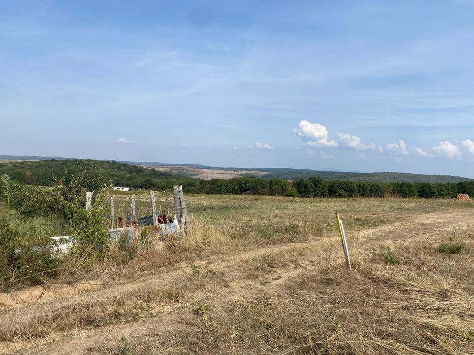 Vand teren intravilan 1500m2 saldabagiu de munte paleu bihor