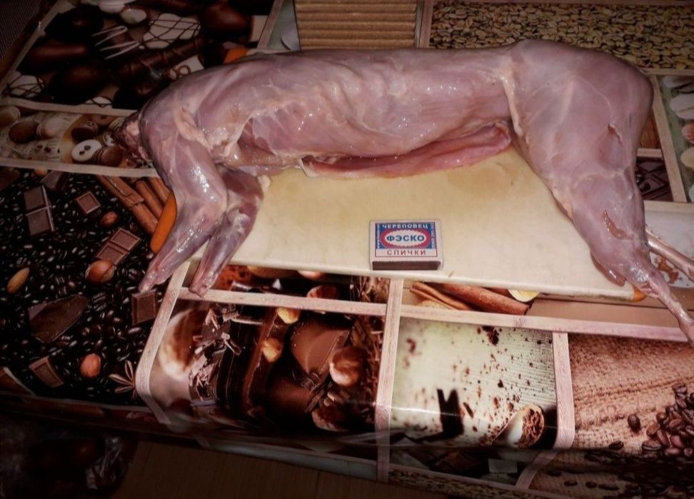 Мясо домашнего кролика