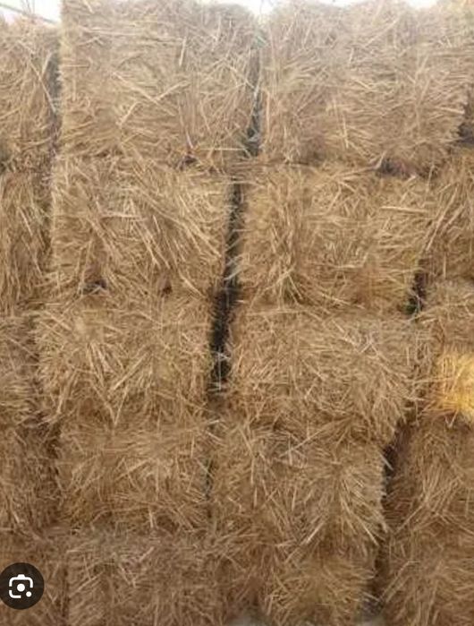 ШОЛИ ПРЕСС  8 мин самовывоз