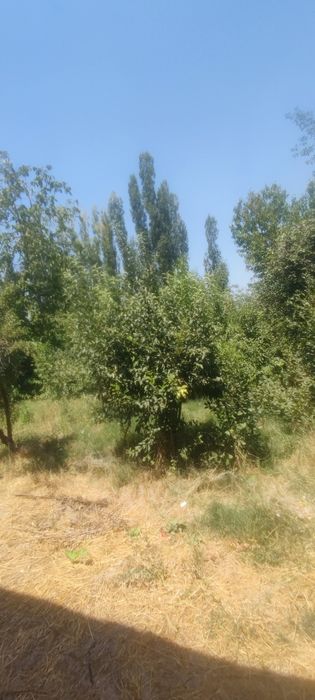 Bog' sotiladi. Judayam zo'r joyda joylashga