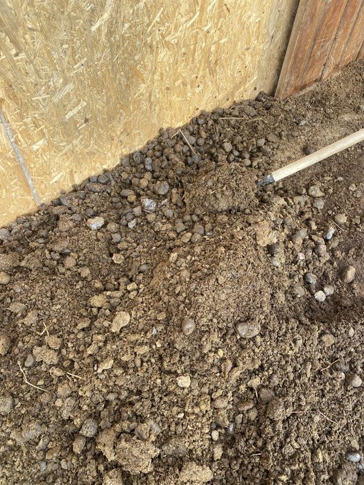 Навоз лошадиный бесплатно