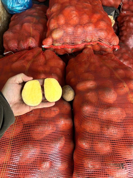 Картофель домашний