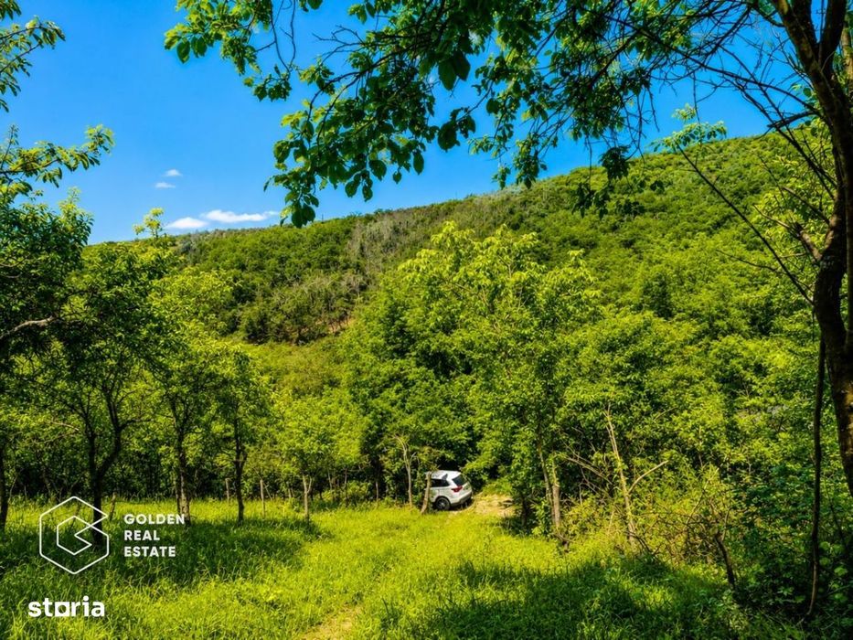 Teren intravilan, 1159 mp, localitatea Ghioroc