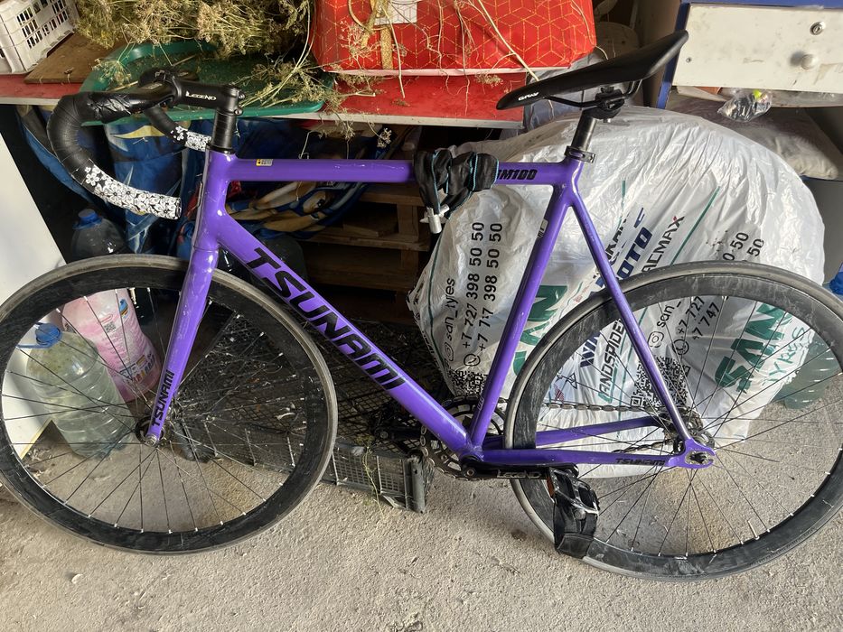 Fixedgear purple