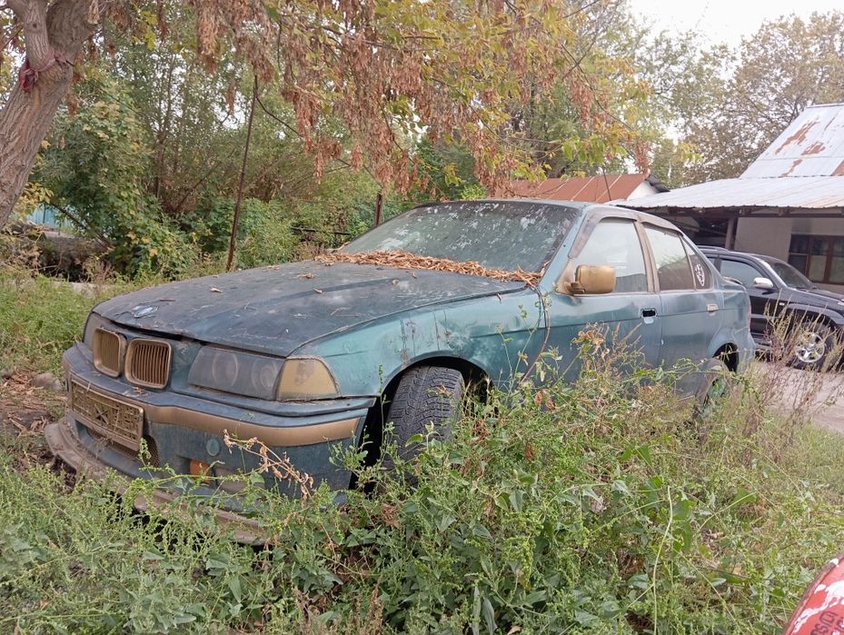 Машина Сатамын Срочна