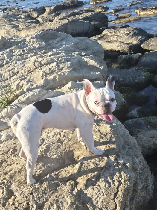 Вязка_Ищем пару для вязки