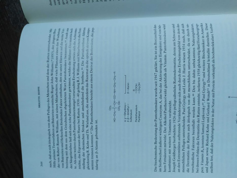 Enciclopedie mari savanti Albert Einstein si Auguste Piccard