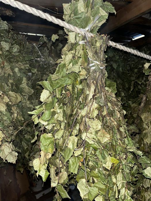 Продам банные веники 2025года