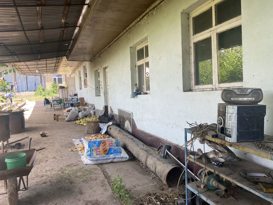 Продажа действущий теплицы