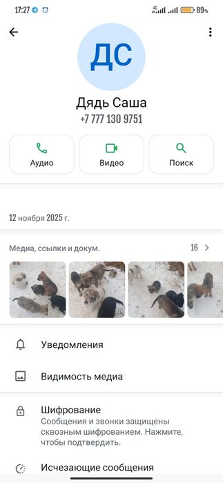 Собаки, щенки( овчарки)