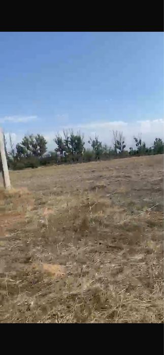 Жер участок Карасайский район Турар