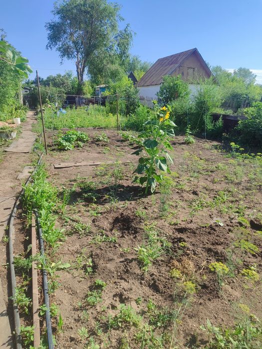 Продаю дачу до Алма
