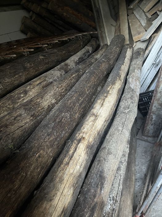 Stempti din salcâm rotunzi uscați