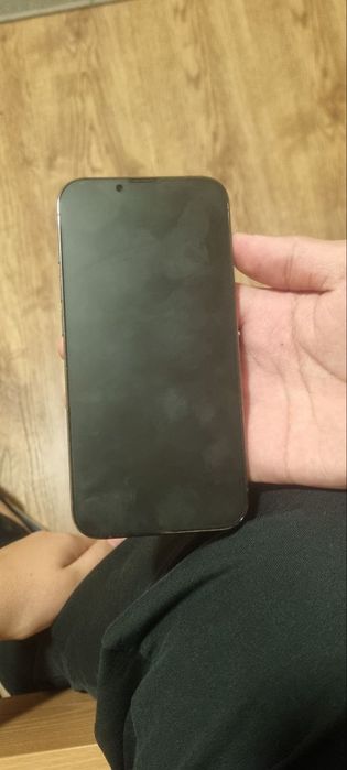 iPhone 13 pro srochna