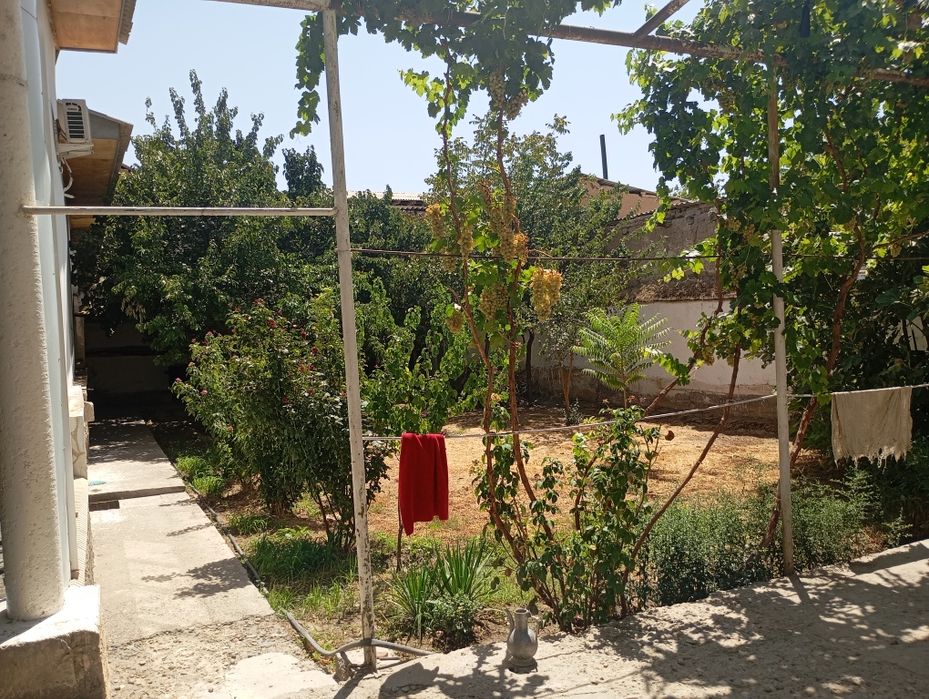 Ховли 8 сутик яшашга таййор ховли