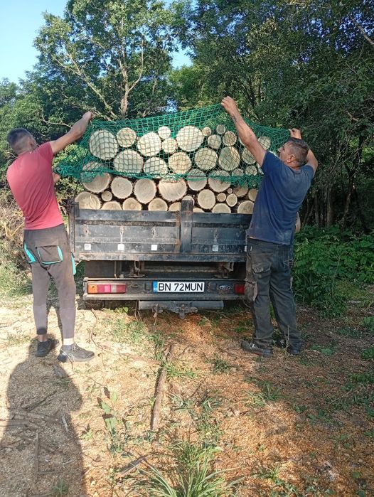 Lemn de foc  esență  tare