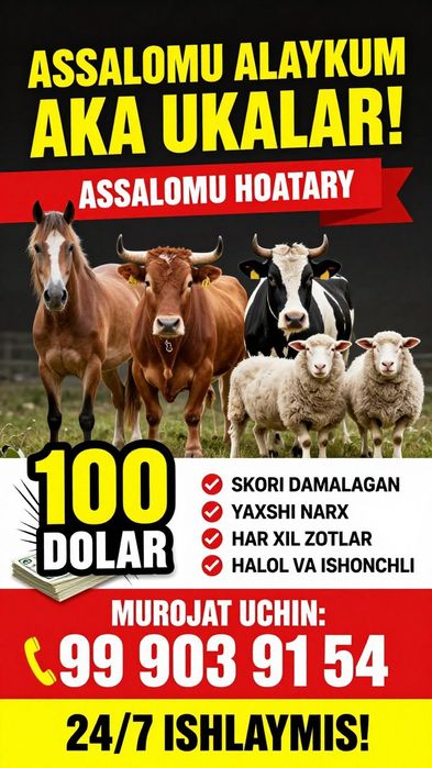 Qassob hizmatlari 12viloyatlaro