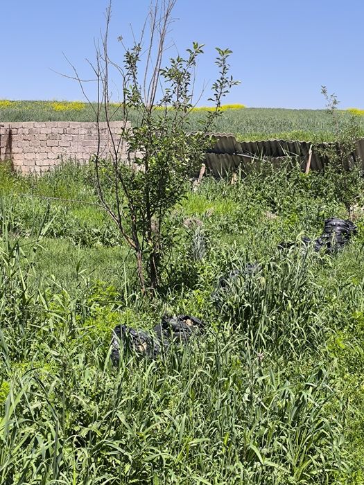 Продается дом 15 соток