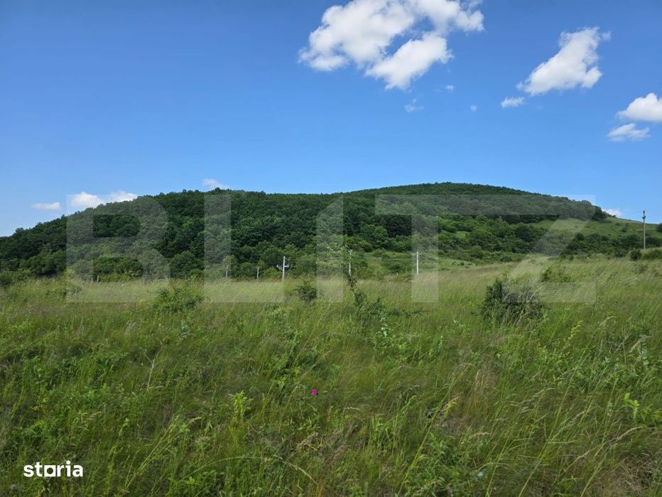 Teren potrivit pentru investitie in zona complexului Domeniul Regilor.