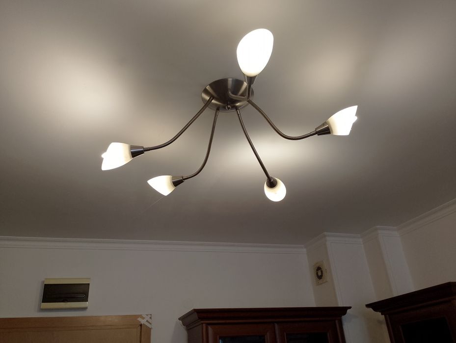 Полилей 2 броя. .