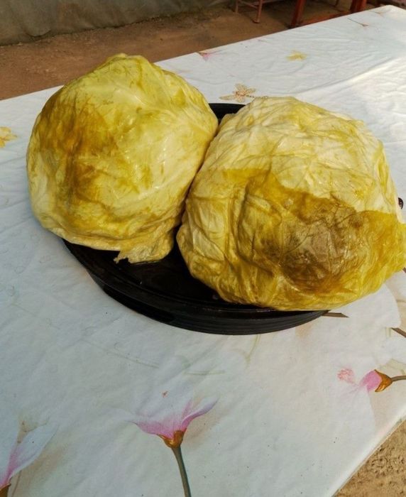 Varză murată românească noua  ..preț 1.50