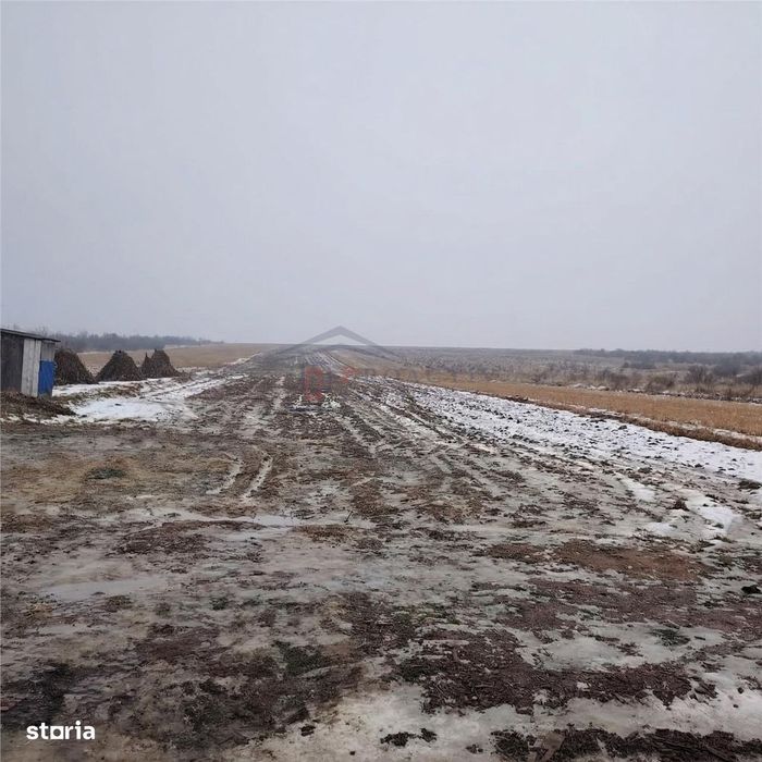 Teren intravilan | Mitocu Dragomirnei | T-7751