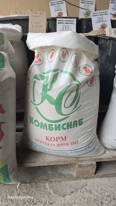 Несушка корм для несушек кур