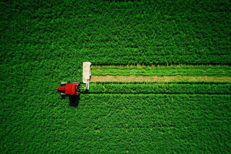 Vând teren extravilan la  €uro cu 0.65 euro mp-10.000 m2, Selaru-