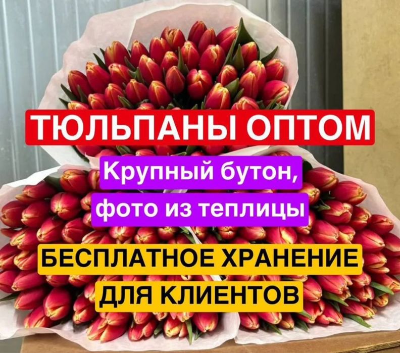 Цветы цветы гулдер кызгалдактар тюльпаны