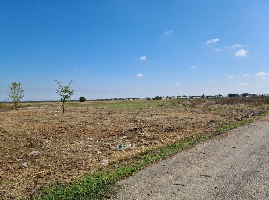 Vand 1000 mp teren Copaceni Ilfov