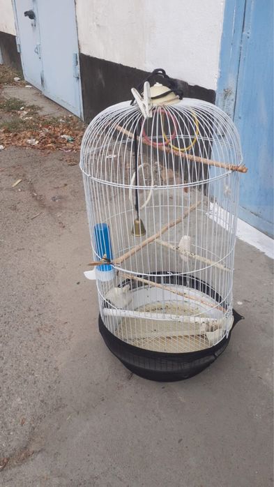 Клетки бу для домашних питомцев и попугаев