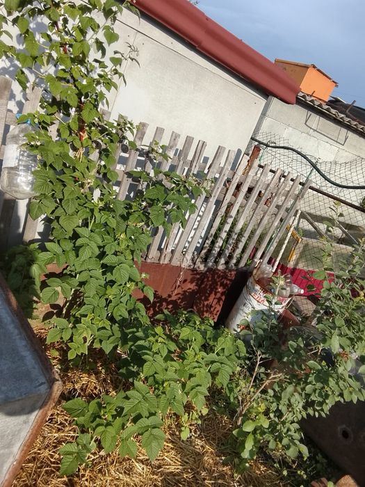Продам дачу в Новопавловке