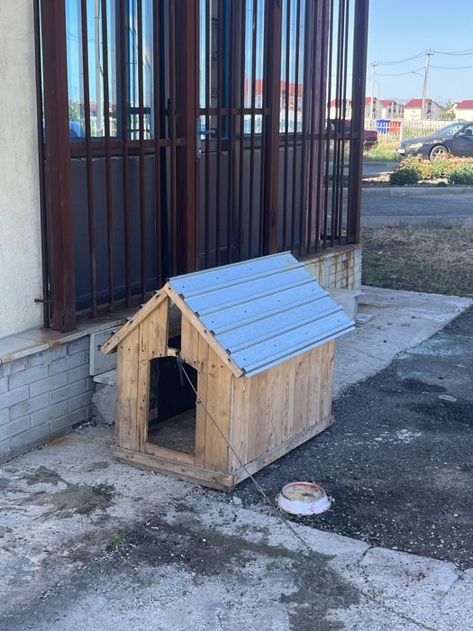Продам бутку для собак